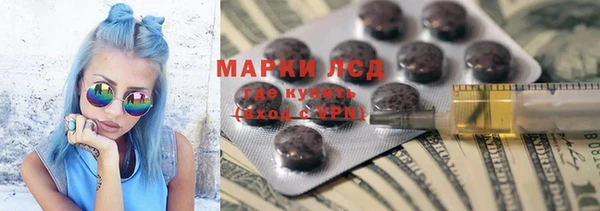 спайс Аркадак