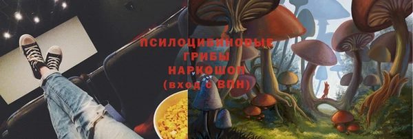 спайс Аркадак