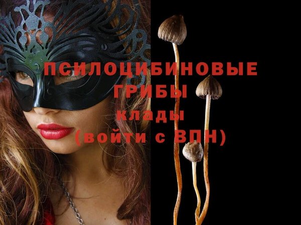 спайс Аркадак