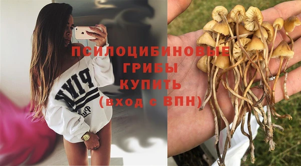 метамфетамин Армянск