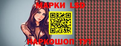 индика Можга