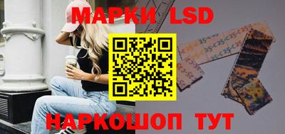 индика Можга