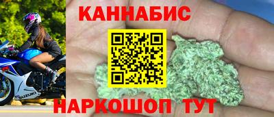 индика Можга