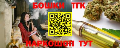индика Можга