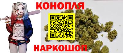 apvp Можайск