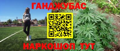 сатива Апшеронск