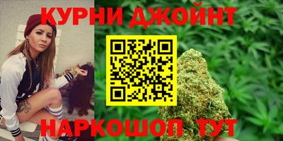 индика Можга
