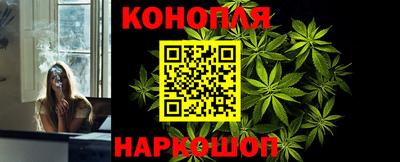 индика Можга