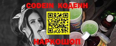 индика Можга