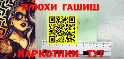 индика Можга