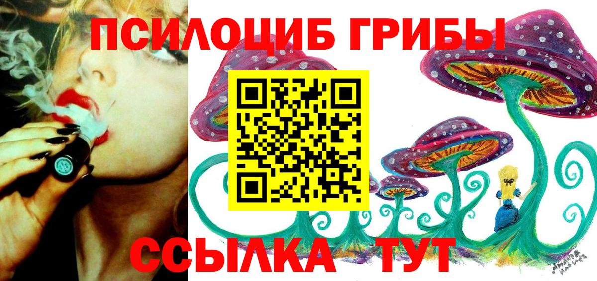 Псилоцибиновые грибы мицелий Нарткала