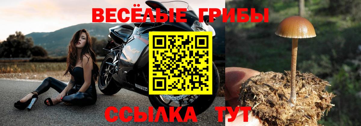 Галлюциногенные грибы Cubensis Нарткала
