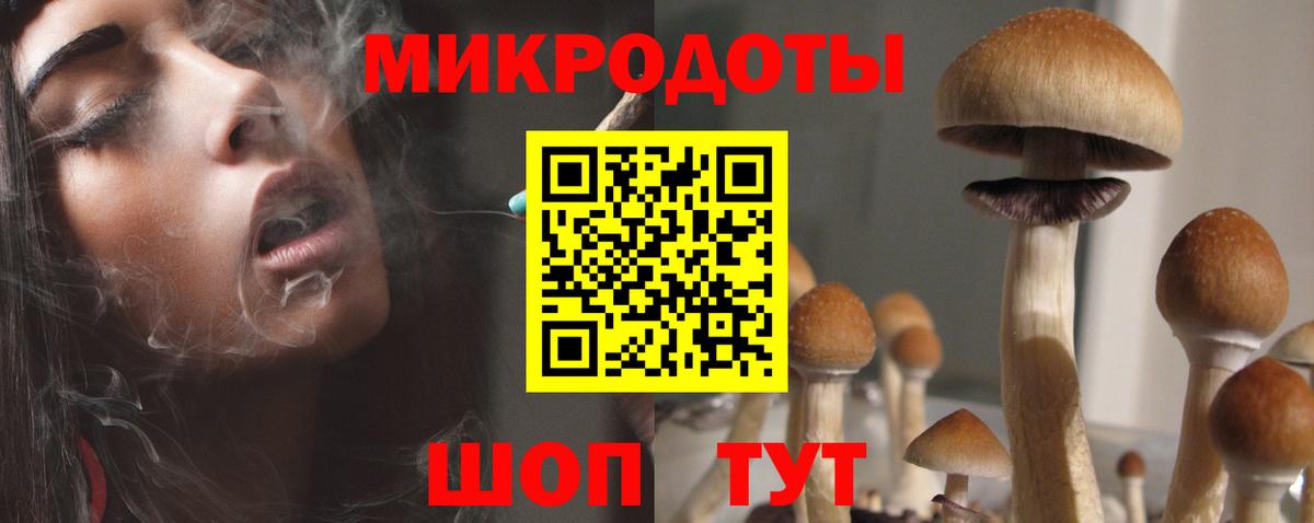 даркнет сайт  Вход с VPN  Нарткала  Галлюциногенные грибы прущие грибы 