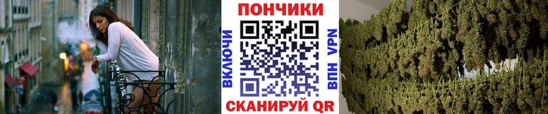 Конопля AK-47  Нарткала 